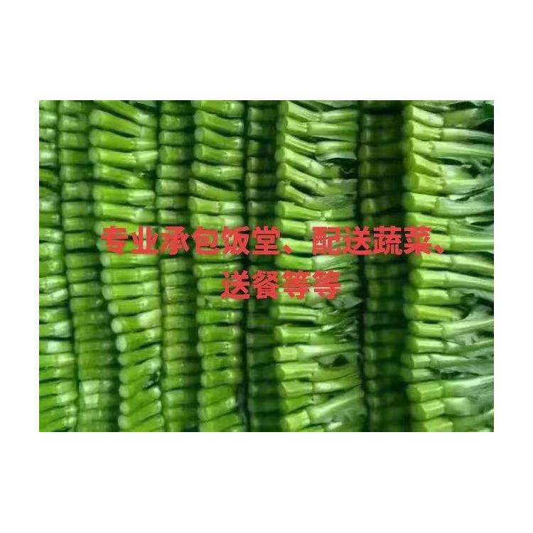 光明單位蔬菜配送電話 多樣化選擇 滿足不同客戶的需求