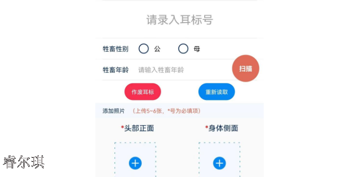 西藏牦牛養殖險風控平臺怎么搭建 來電咨詢 四川睿爾琪科技供應