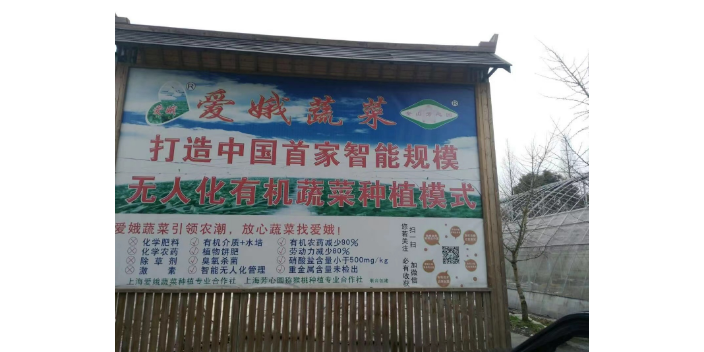 徐匯區(qū)城市盆栽菜基地提供商 誠信互利 上海愛娥蔬菜種植供應