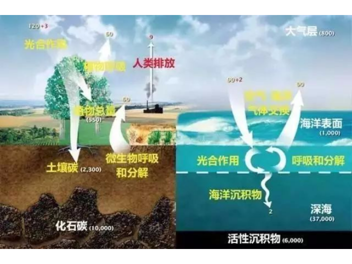 青海林業碳匯碳資產開發發展 捷亦碳科技供應