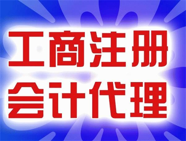 2023年度汉阳区财务咨询服务