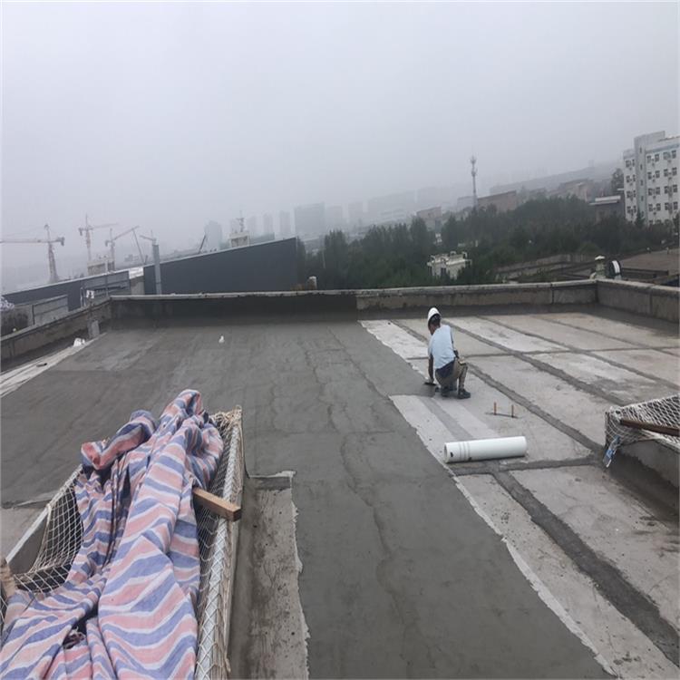 產量高 銀川火車站雨棚kst板價格 雄基