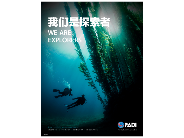 深海水肺潛水找哪家 深圳市瀾嶼教育供應