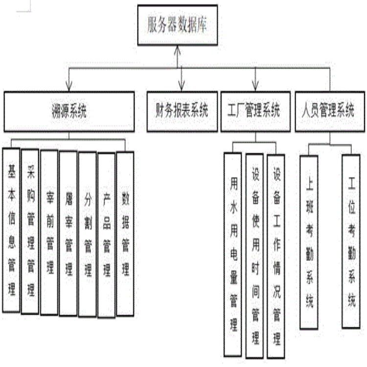 福建肉牛屠宰管理軟件廠