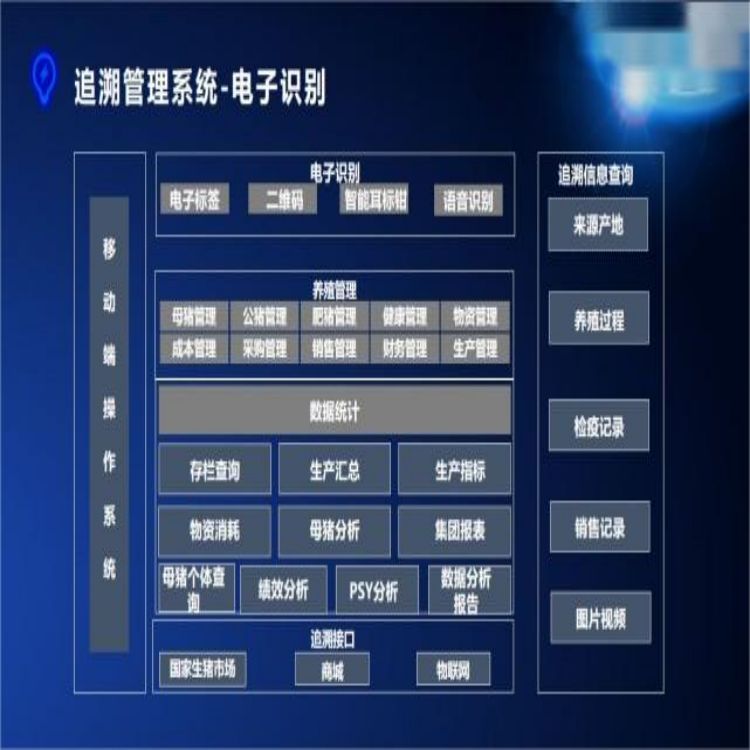 吉安牛屠宰场管理软件厂