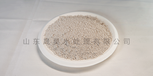 濰坊COD降解菌廠家 山東晟昊水處理供應(yīng)