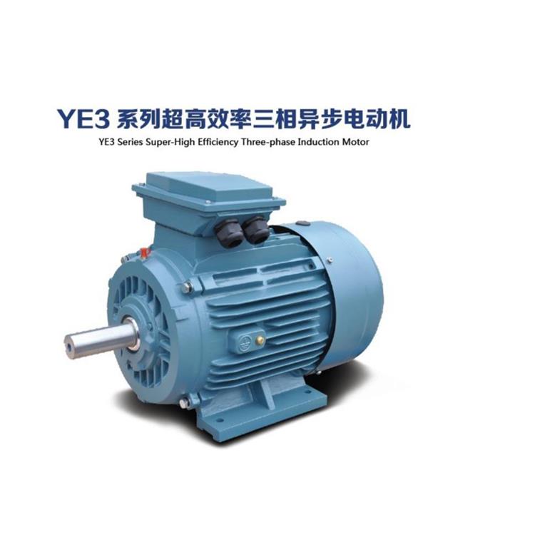 臥式帶鋸床配套電機_YE4-315S-6/75KW_防腐蝕