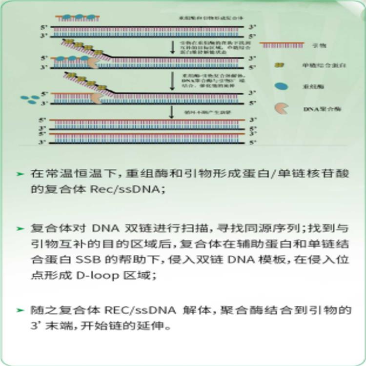 呼和浩特侧向流动厂家 快速快准确性较高