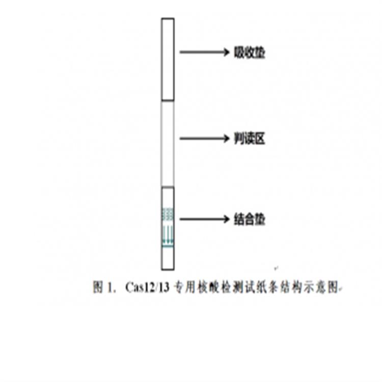 太原雙靶標(biāo)規(guī)格 使用方便