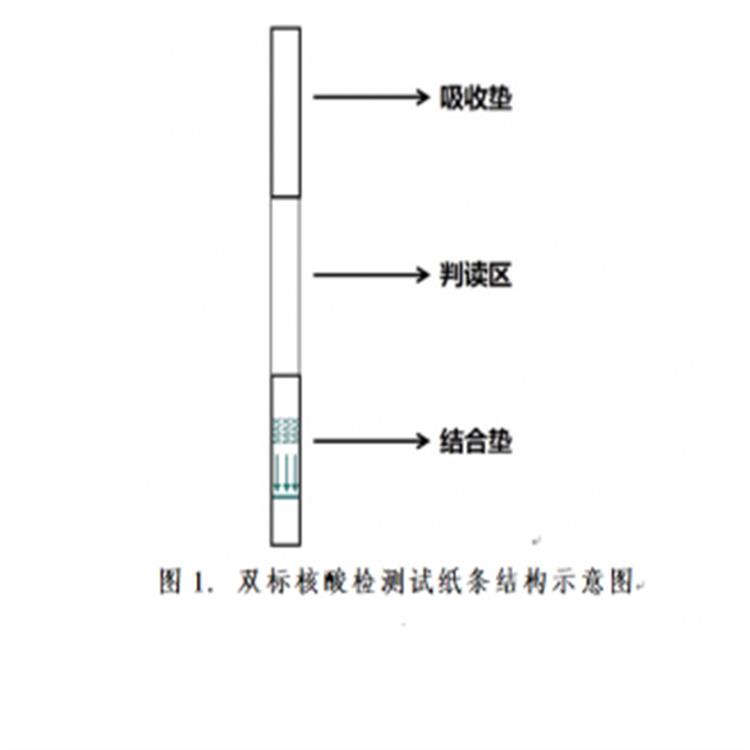邢臺JY0301供應
