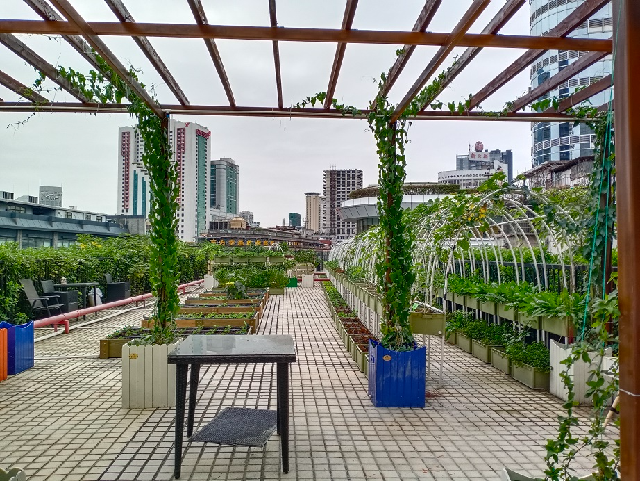 云浮市現代都市農業 服務為先 廣東三合重農科技供應