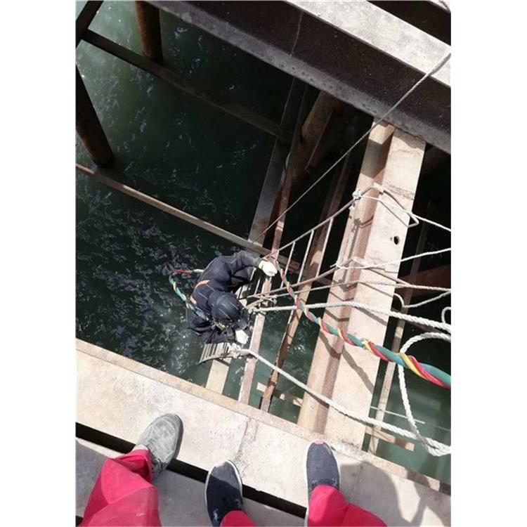 麗水市 水下作業 當地潛水打撈隊伍 潛水作業效率高