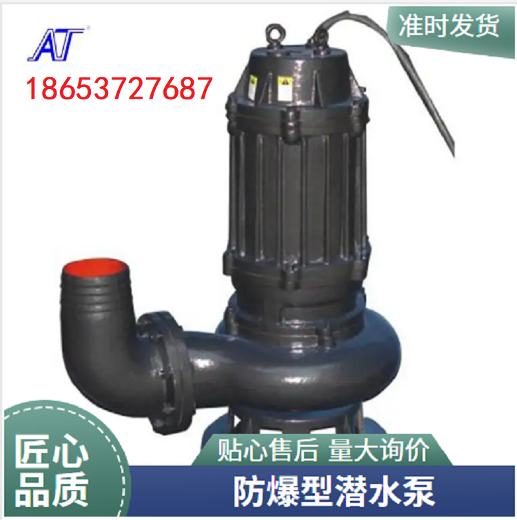 集水坑化粪池排污泵 WQB3kW 污水污物防爆型切割泵