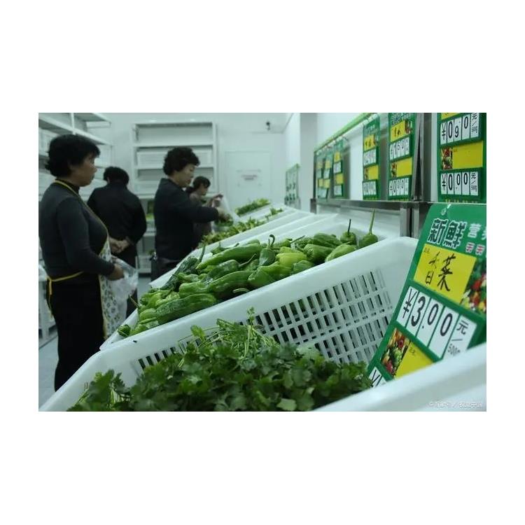 大型蔬菜批發公司 長寧鎮飯堂食材配送服務公司