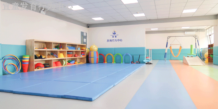 2歲半兒童自閉癥表現 天津宜童健康咨詢供應 天津宜童健康咨詢供應