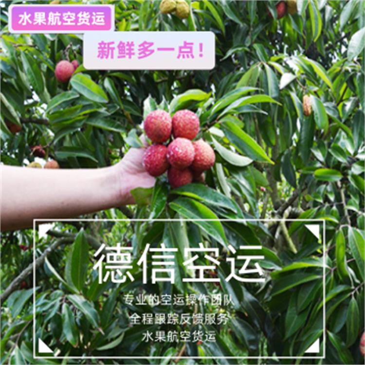 廣州水果加急空運 準時送達 時效性好