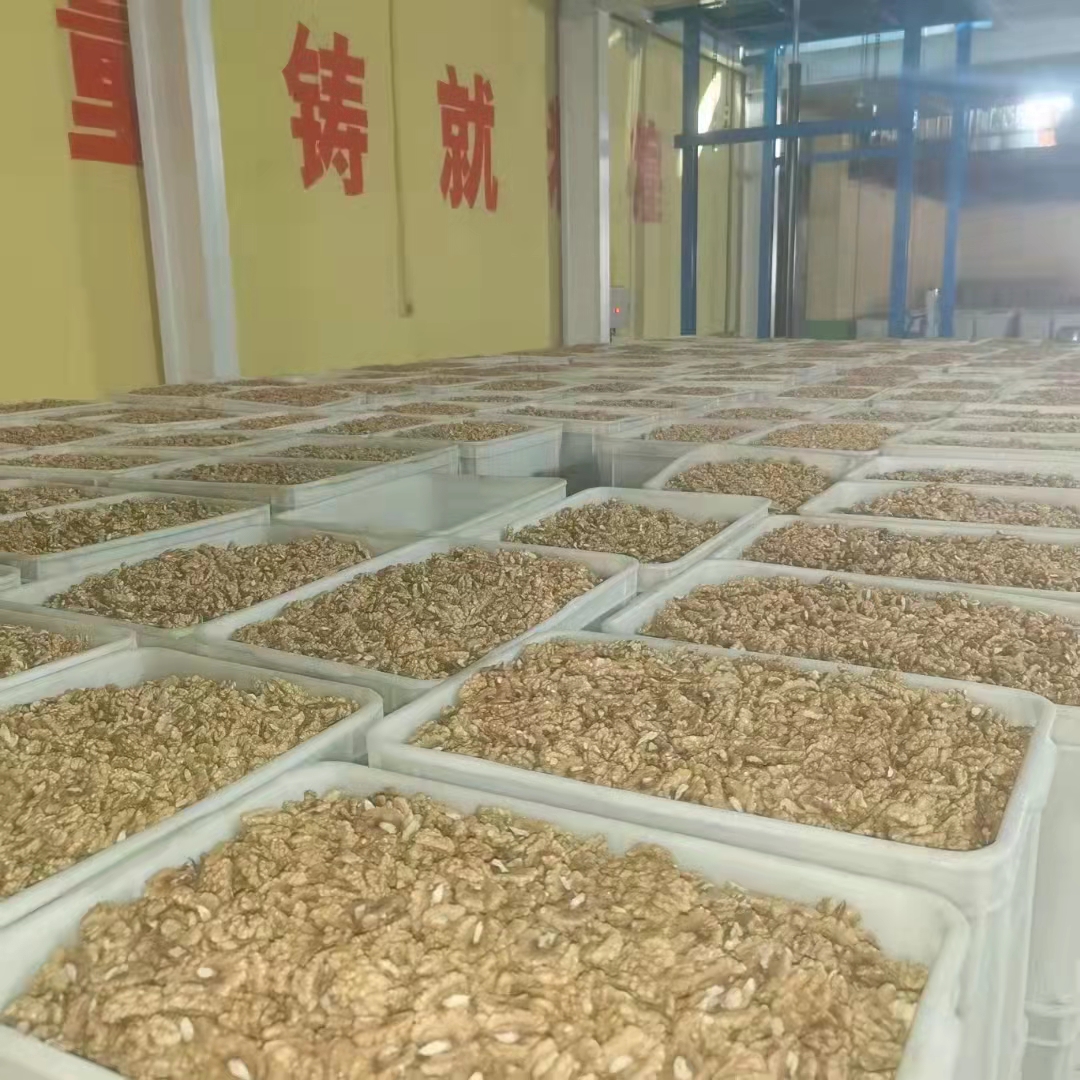 河北核桃仁生产厂家大量现货出售白三路月饼糕点食品企业欢迎合作