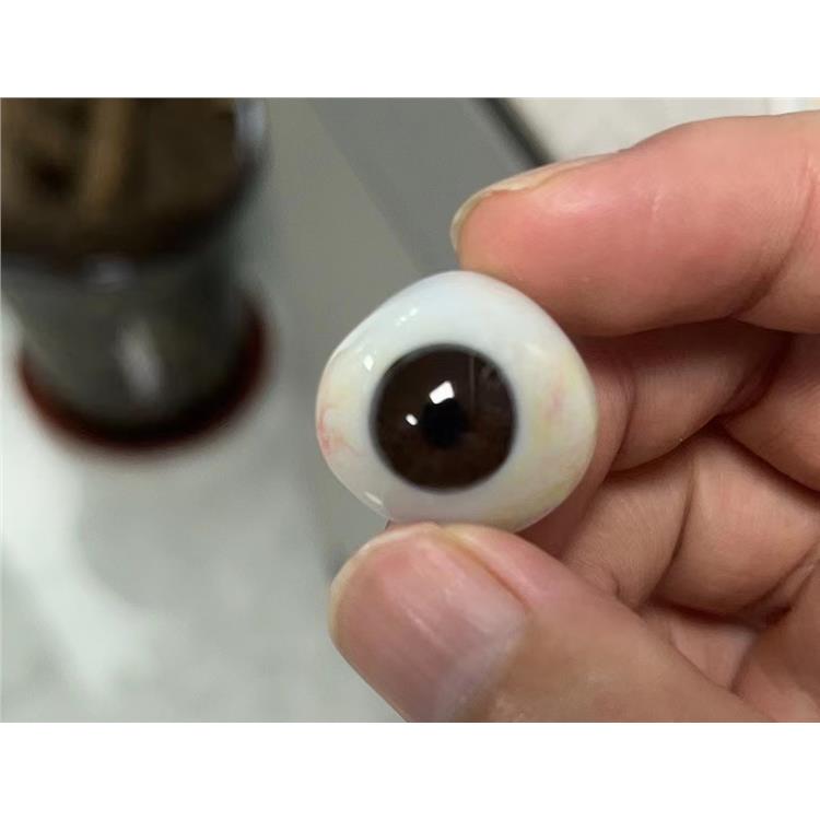 義眼片 義眼手術費用表 滄州義眼片要多少錢