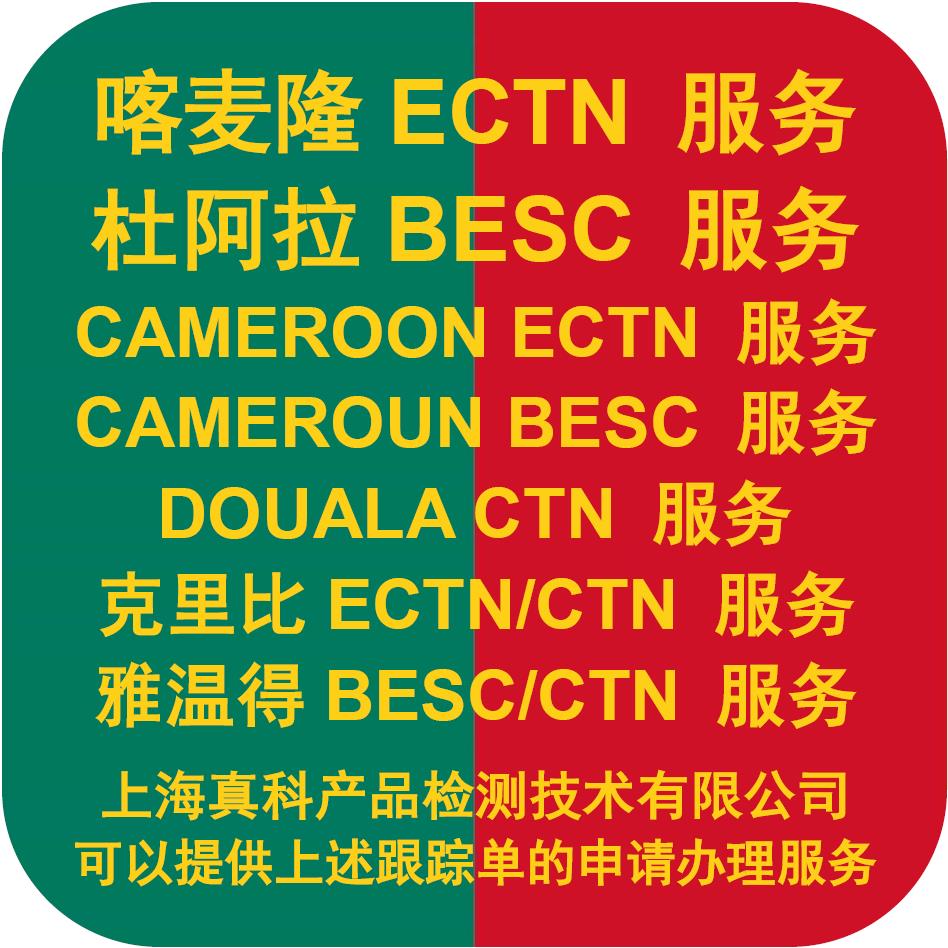 非洲CTN跟蹤號如何獲取