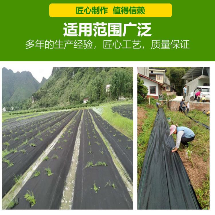 防草地布价格 贵阳土工膜土工布防渗膜 能抵抗外力破坏