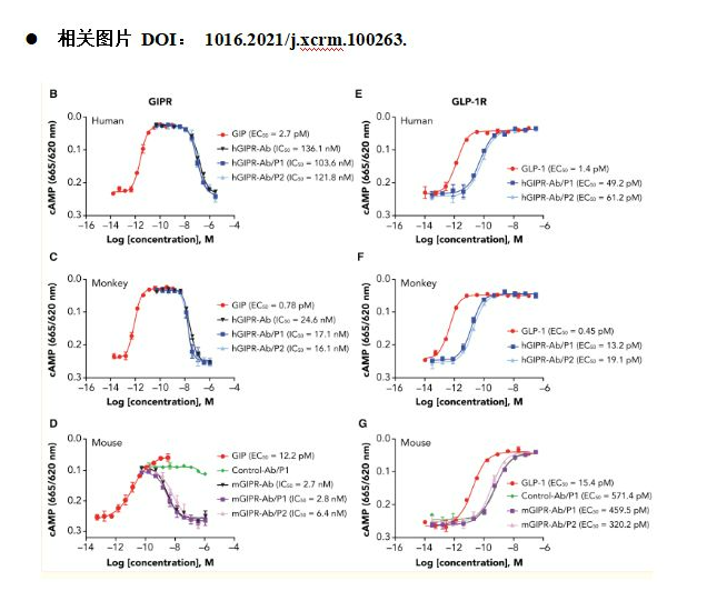 抗**药物体外筛选|体外药物筛选|酶学实验服务|激酶谱检测