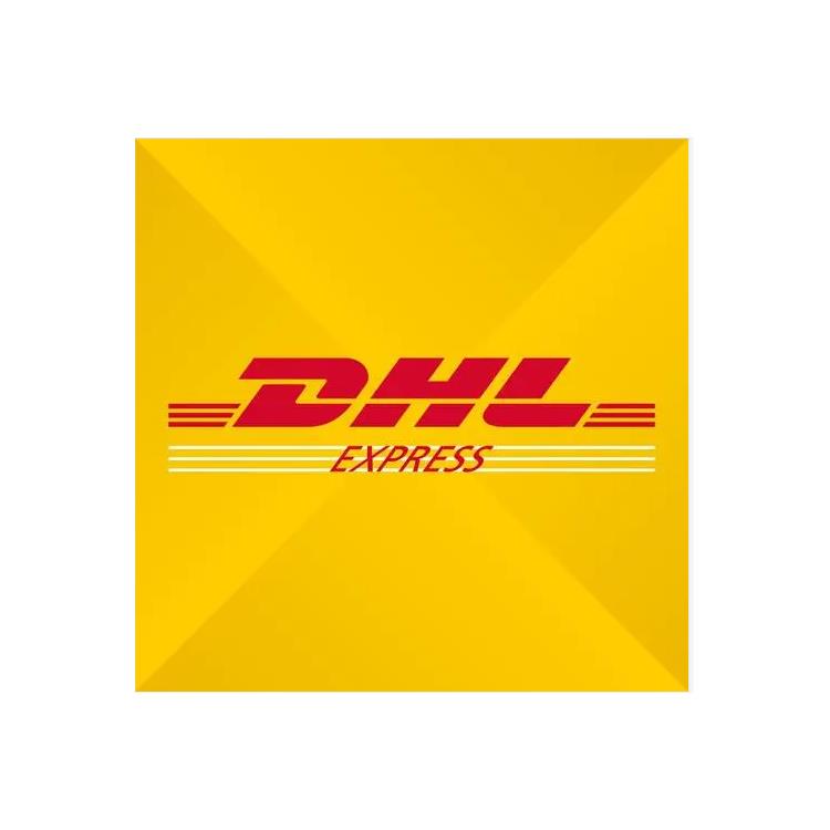 长沙到菲律宾专线 价格优 DHL