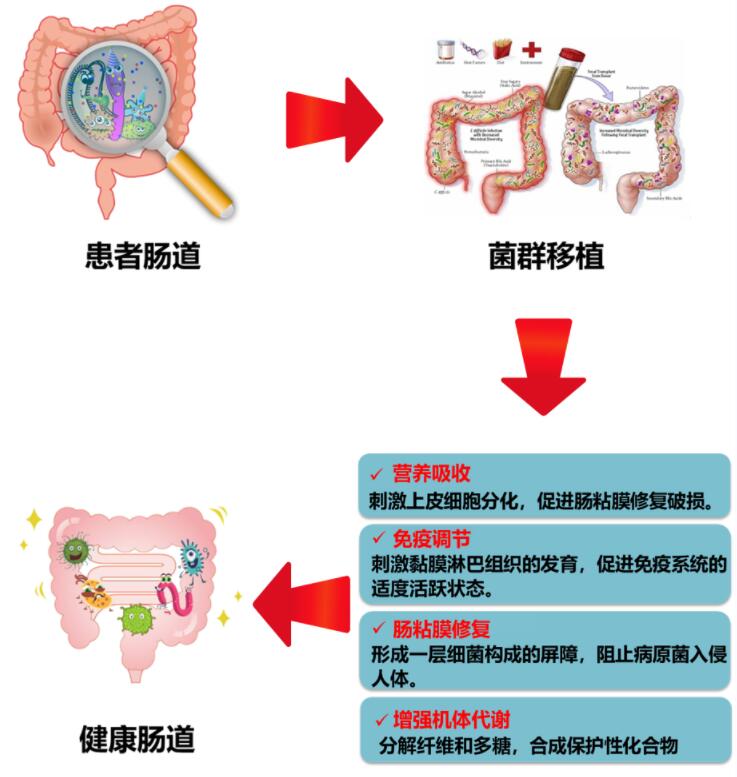 菌群检测招商