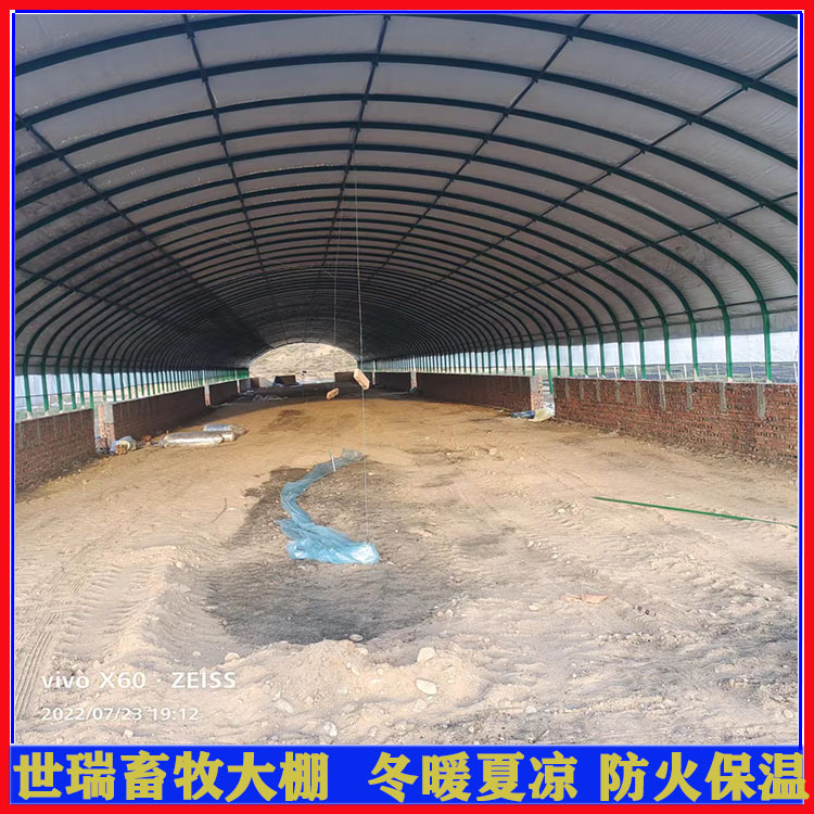 新式养牛棚建设 养牛大棚安装 牛舍大棚建造