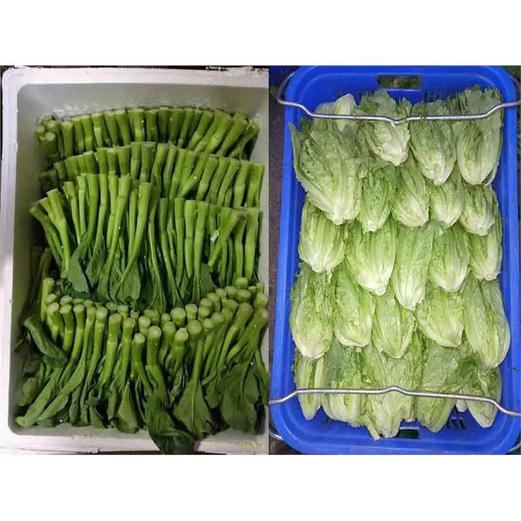 工廠食堂送菜服務 順德飯堂食材配送服務公司
