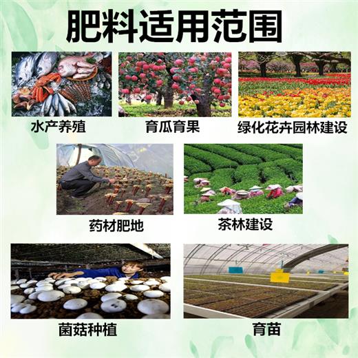 鴿子糞 渝中蚯蚓糞