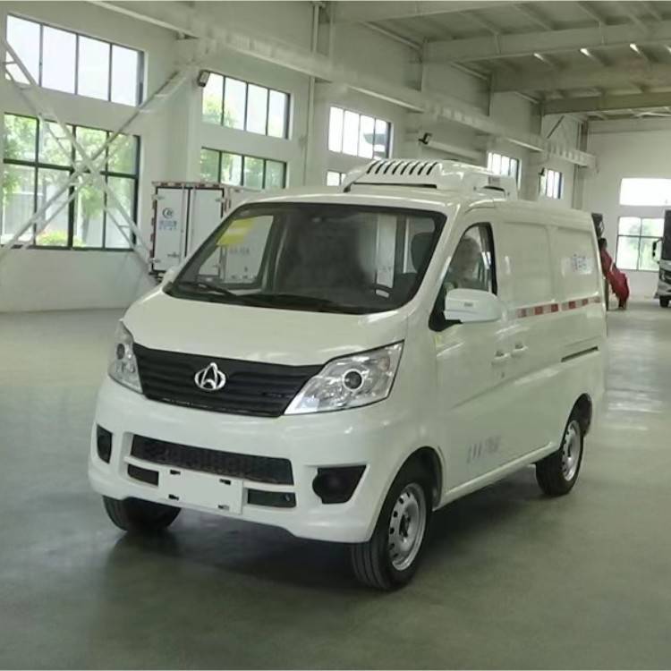 重汽統帥4.2米疫苗冷鏈運輸車 肉鉤冷藏車 保溫效果好
