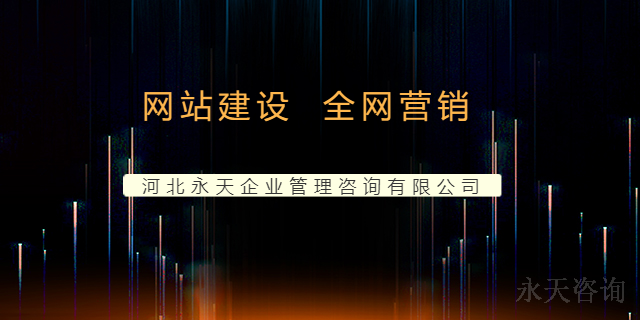 南和网站建设哪家好 欢迎咨询 河北永天企业管理咨询供应