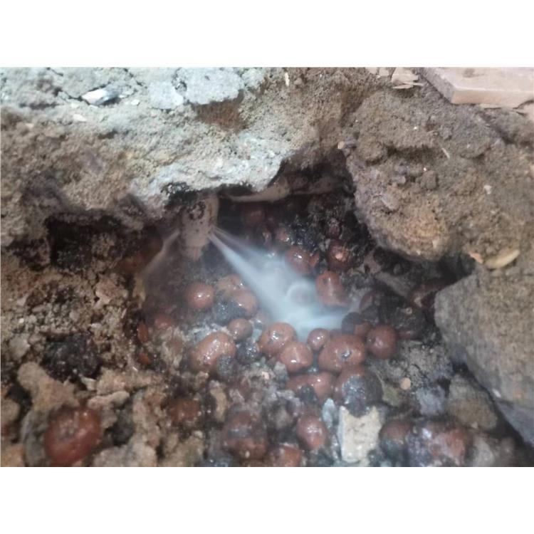 仲愷地下水管漏水檢測公司