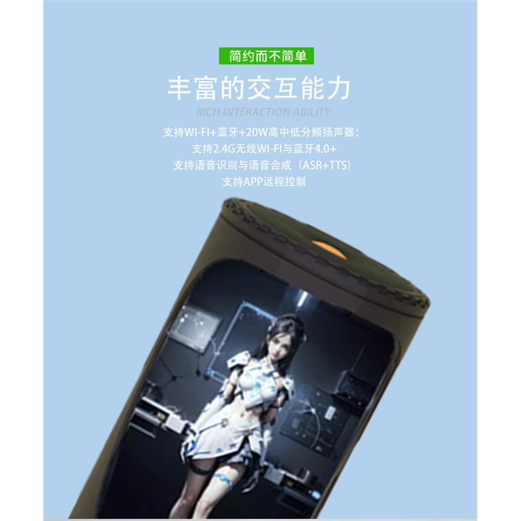 中國香港AI伴侶公司 智能芯片