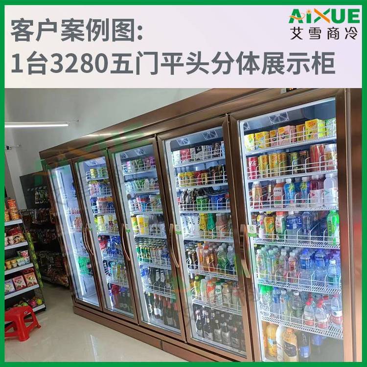 定制啤酒饮料鲜花保鲜冷冻冷藏展示柜 立式单双三四门风冷商用冰柜