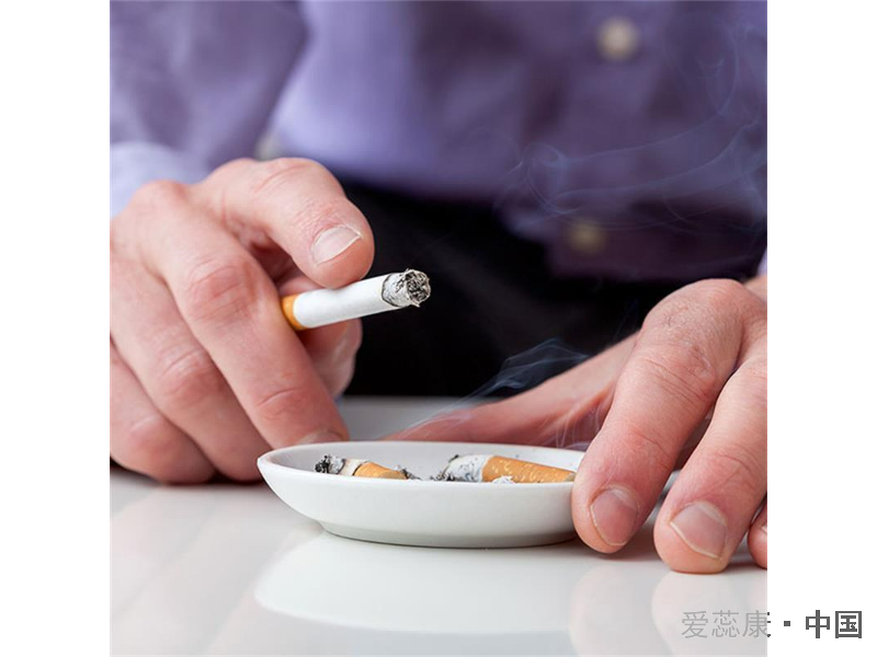 山東寵物除臭小妙招 服務為先 德州名將空調設備供應