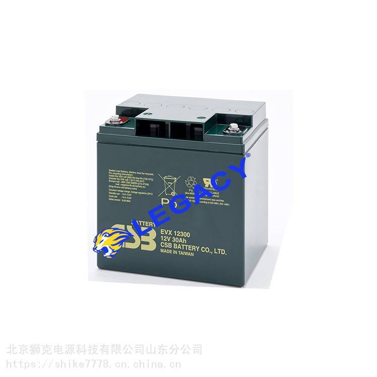 閩臺CSB希世比蓄電池GP1000 12V100AH直流屏UPS