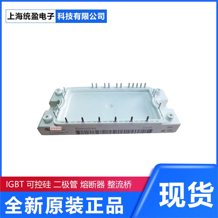 英飛凌IGBT模塊整流器可控硅Infineon BSM75GB60DLC