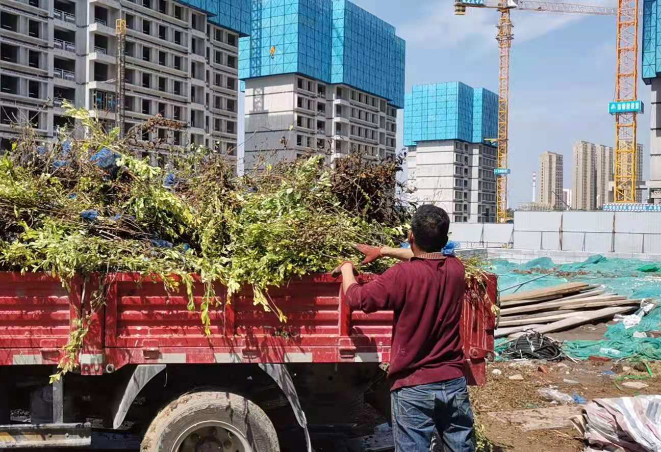 开发区正规的清运装修垃圾价格