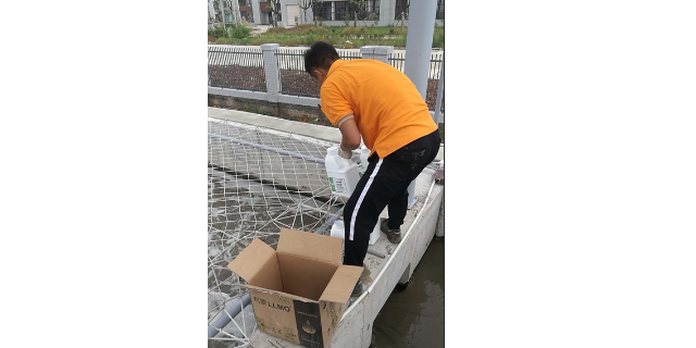上海氨氮cod降解菌現貨 上海利蒙生態環境科技供應