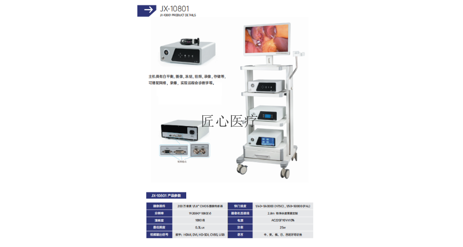 荧光宠物腹腔镜服务电话 铸造辉煌 南京匠心医疗科技供应