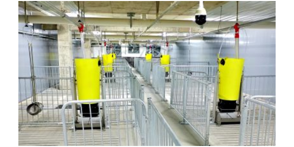 貴州智慧養殖干濕料槽品牌商家 廣州荷德曼農業科技供應