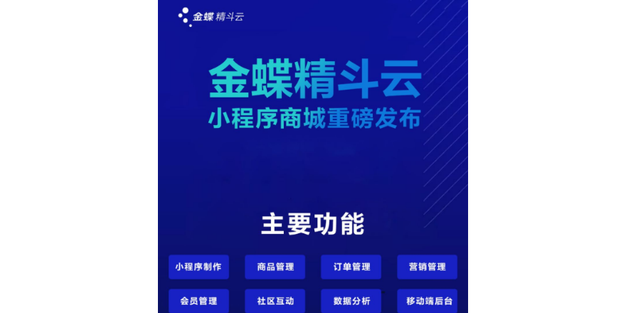 固原哪個金蝶精斗云類型 歡迎咨詢 寧夏利仁禾科技供應