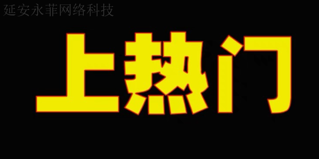 子洲如何做**推廣 服務至上 延安市永菲網絡科技供應