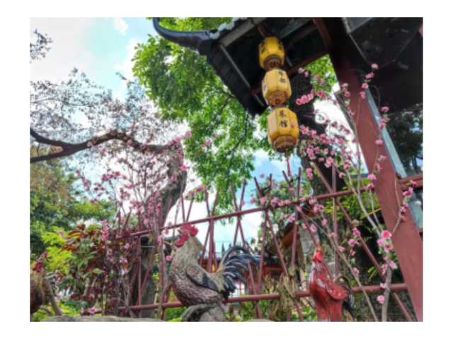 廣東公司團建游戲 中山市中拓教育供應