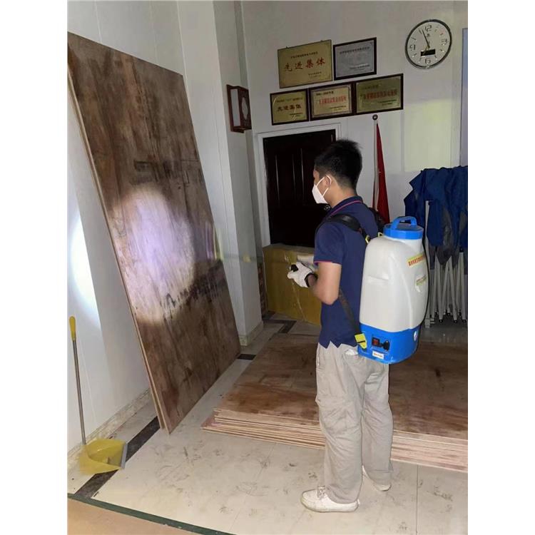 害蟲防治 蓬江白蟻預防公司電話 上門服務 確定方案