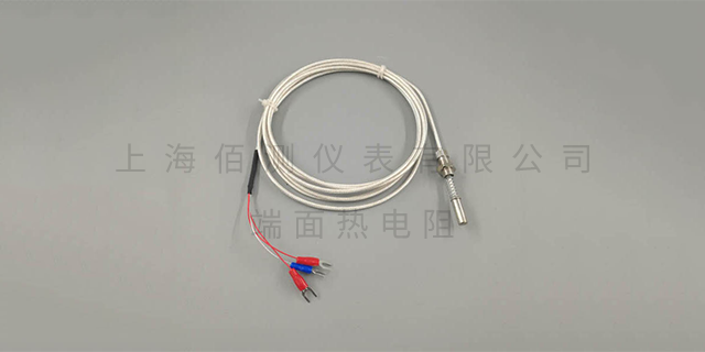 湖北裝配式熱電阻 上海佰測儀表供應