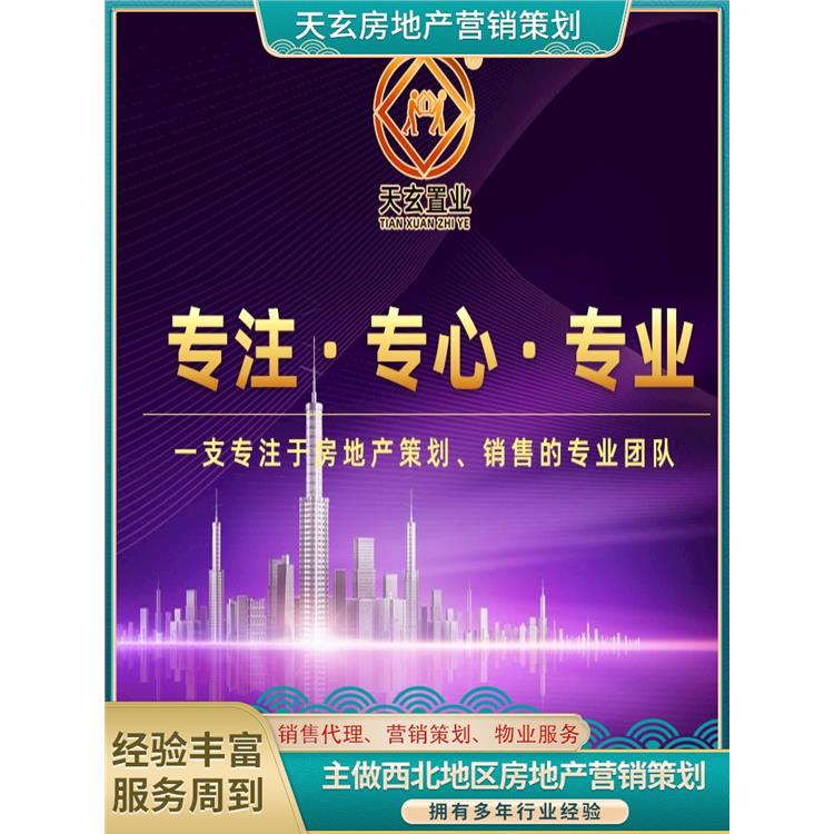 瑪沁縣房地產營銷策劃公司 天玄策劃 10年地產營銷經驗