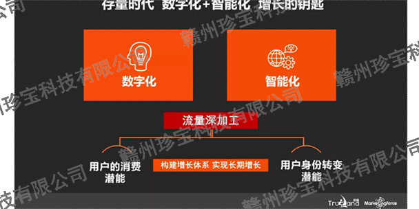 贛州醫藥網站搭建公司 誠信經營 贛州珍寶信息技術供應