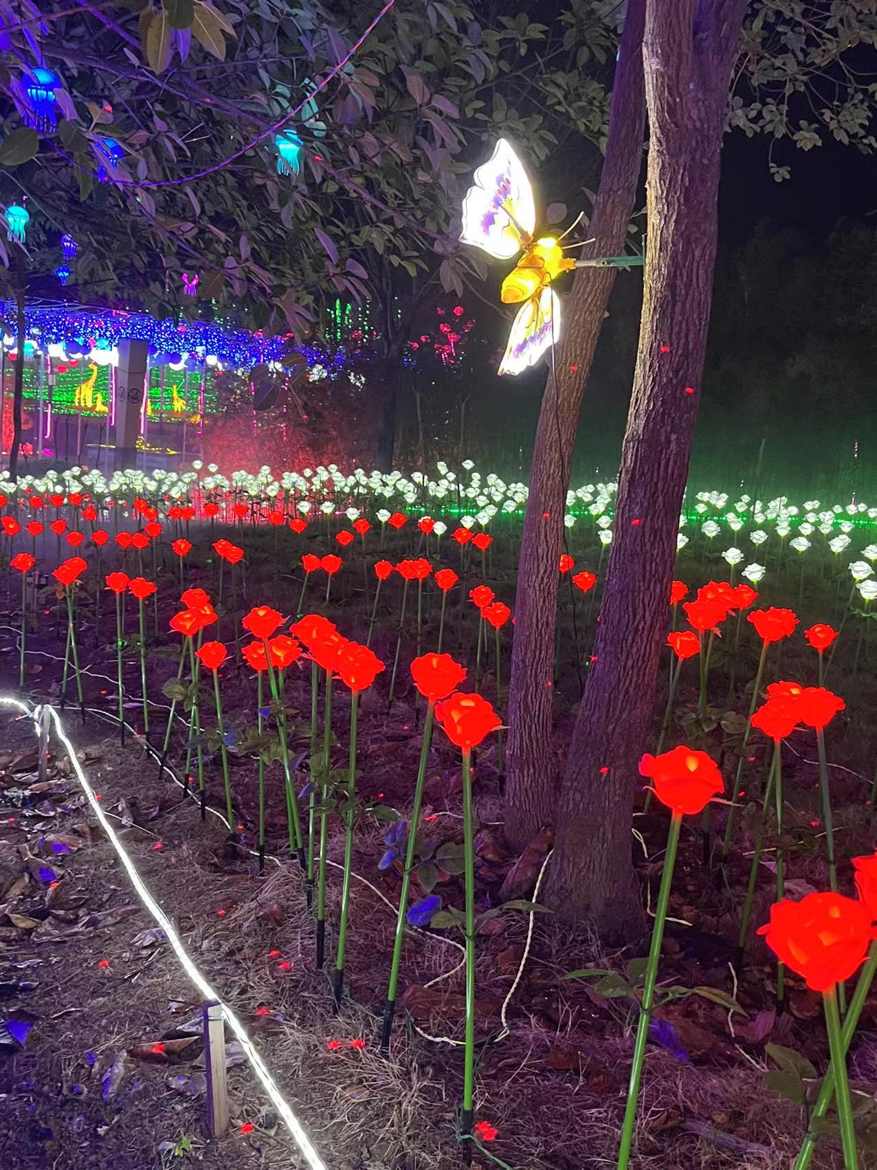 贵州造型灯 新年节日led亮化户外景区商场大型灯